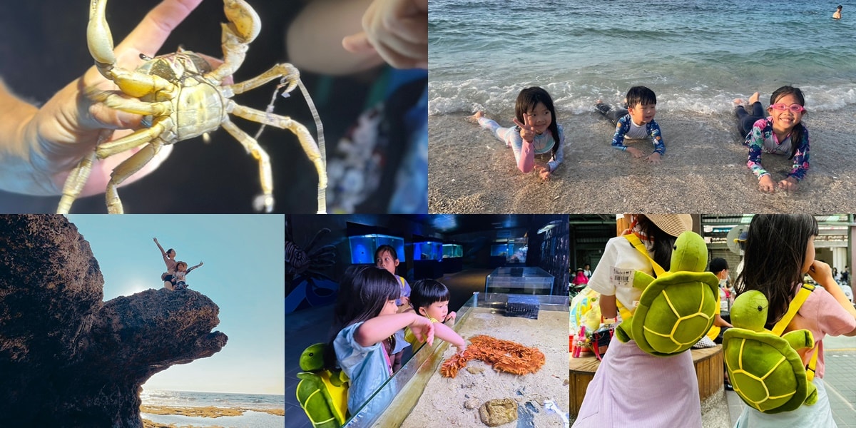 【小琉球親子旅行】小琉球海洋館|小琉球免稅商店|秘境烏龜石|中澳沙灘(有廁所)|小琉球夜間導覽 - 第1張圖