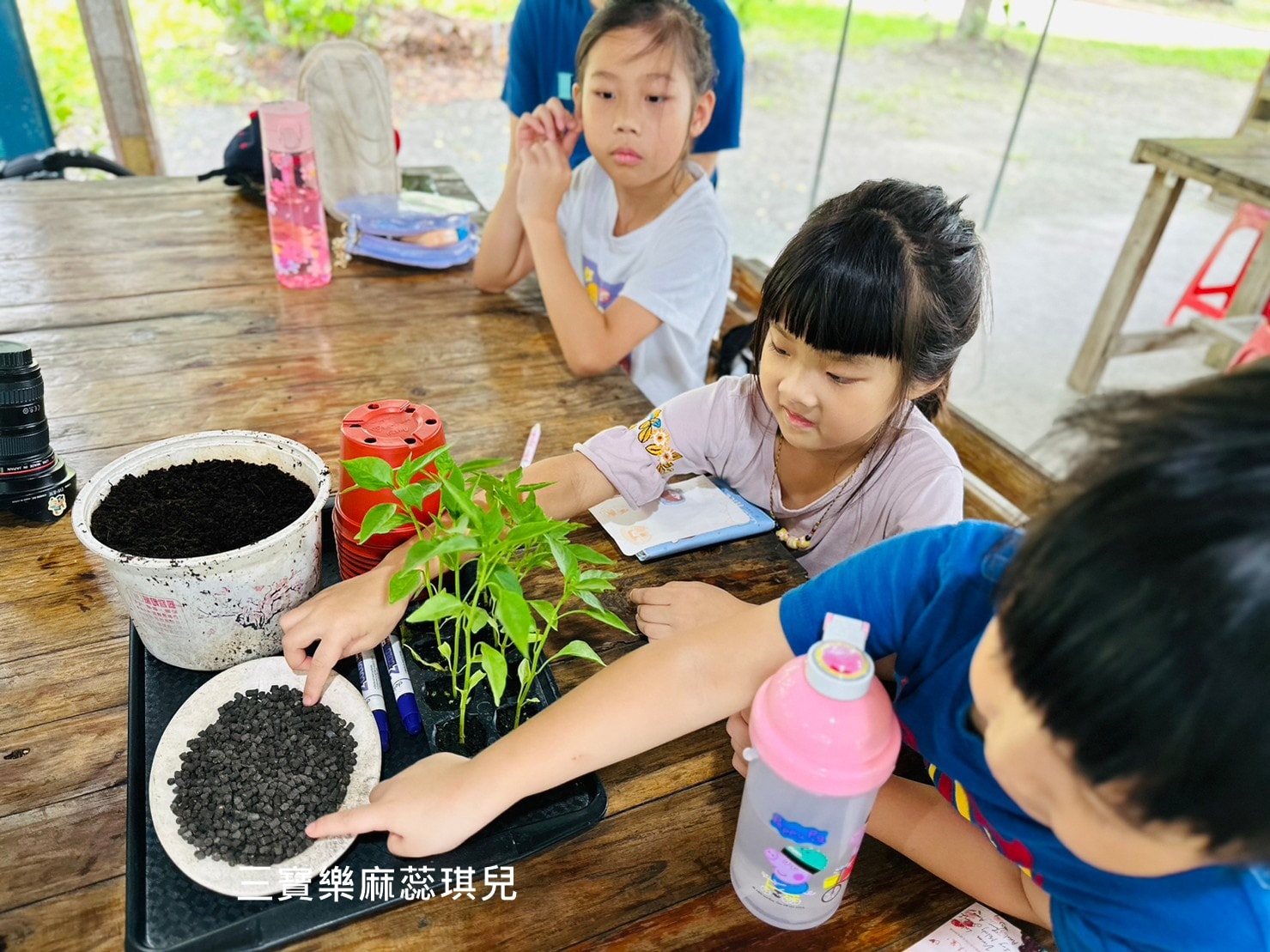 【台中景點】大木塊生態農場|農村體驗套裝課程|融合食農教育|門票280元起含門票、盆栽、導覽課程、園區設施和午餐 - 第9張圖
