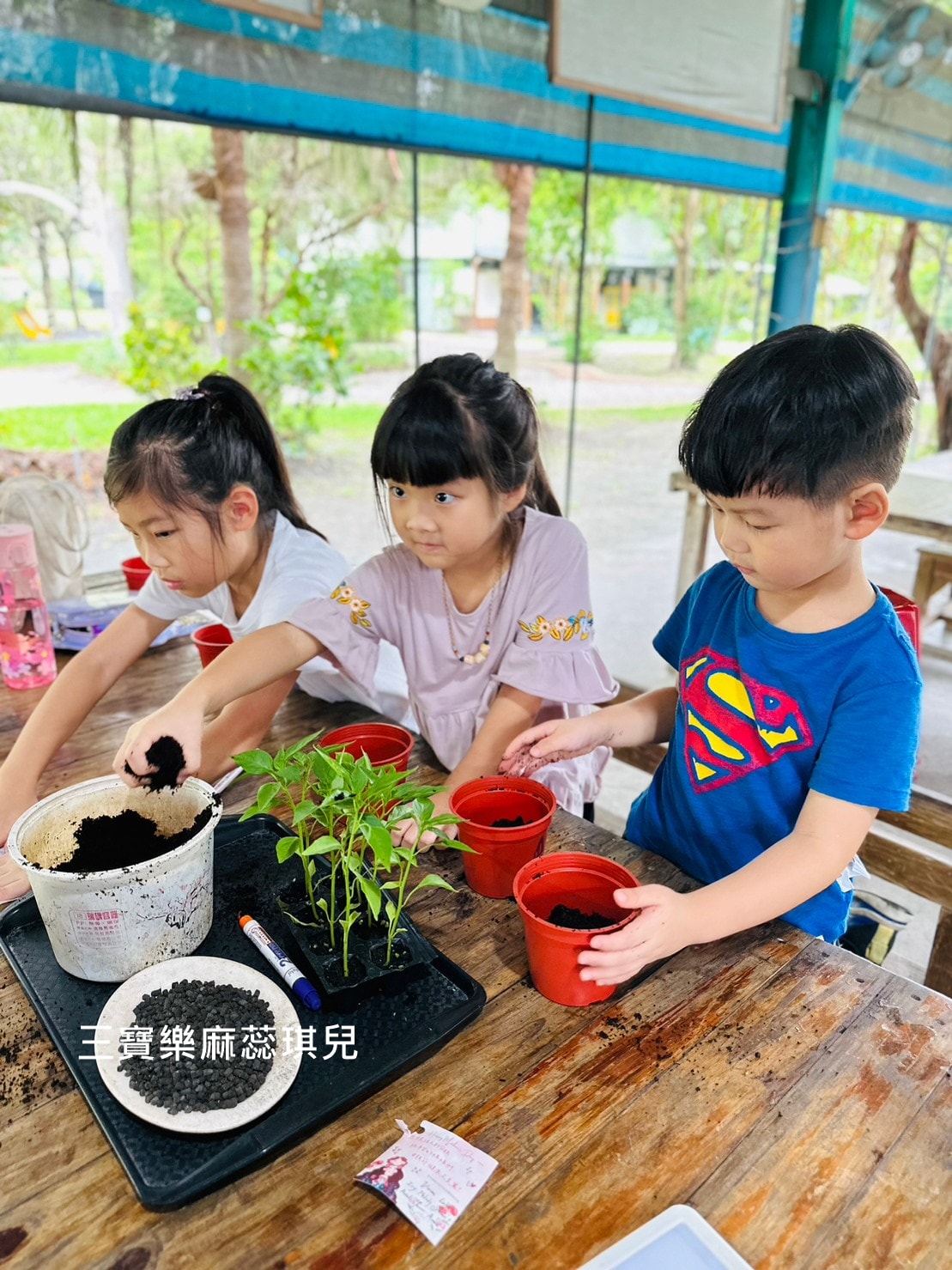 【台中景點】大木塊生態農場|農村體驗套裝課程|融合食農教育|門票280元起含門票、盆栽、導覽課程、園區設施和午餐 - 第7張圖
