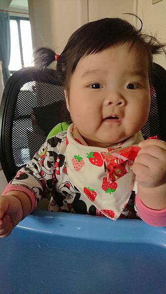 《副食品十》樂妹不打泥副食品交給Cuisinart CSB 77手持攪拌器