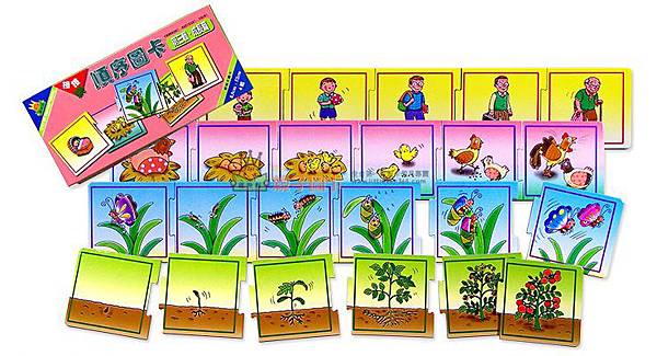 【親子教具推薦】◎◎理特尚幼兒圖卡教具◎◎親子互動/旅遊雨備/邏輯培養/幼兒發展/多元玩法