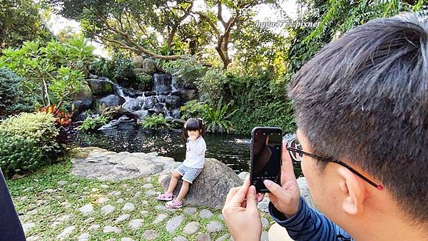 【苗栗卓蘭旅遊】12月薰衣草花海│花露休閒農場好好玩好好拍│挑高耶誕樹布置│廣大草皮讓孩子跑跳