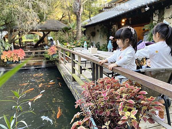 【苗栗卓蘭旅遊】12月薰衣草花海│花露休閒農場好好玩好好拍│挑高耶誕樹布置│廣大草皮讓孩子跑跳
