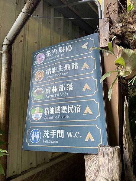 【苗栗卓蘭旅遊】12月薰衣草花海│花露休閒農場好好玩好好拍│挑高耶誕樹布置│廣大草皮讓孩子跑跳