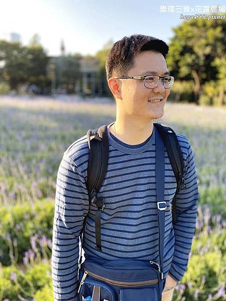 【苗栗卓蘭旅遊】12月薰衣草花海│花露休閒農場好好玩好好拍│挑高耶誕樹布置│廣大草皮讓孩子跑跳