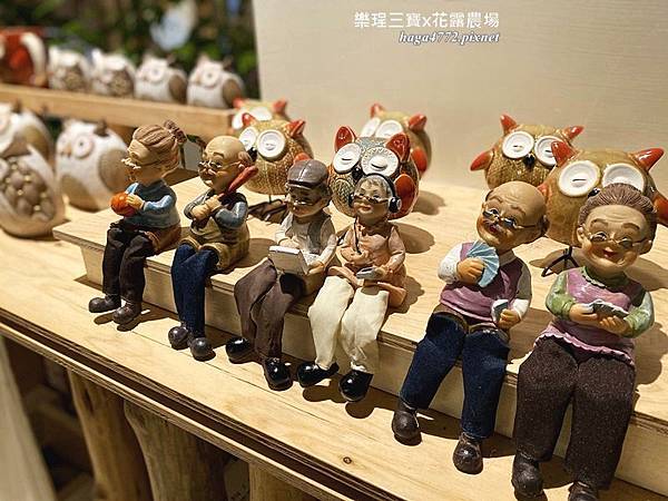 【苗栗卓蘭旅遊】12月薰衣草花海│花露休閒農場好好玩好好拍│挑高耶誕樹布置│廣大草皮讓孩子跑跳