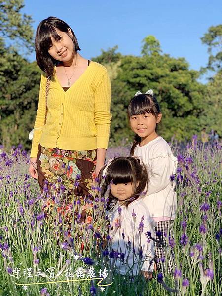 【苗栗卓蘭旅遊】12月薰衣草花海│花露休閒農場好好玩好好拍│挑高耶誕樹布置│廣大草皮讓孩子跑跳