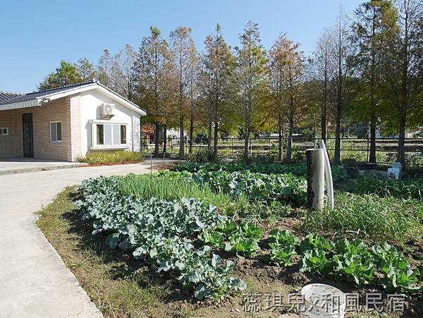 【苗栗公館住宿】回到家的感覺│和風民宿│落羽松民宿輕旅行│和風食堂客家美味佳餚