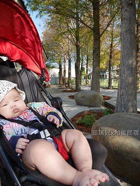 【苗栗公館住宿】回到家的感覺│和風民宿│落羽松民宿輕旅行│和風食堂客家美味佳餚
