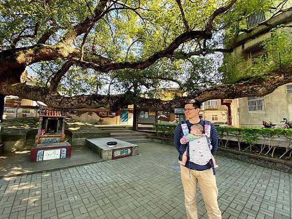 【苗栗公館住宿】回到家的感覺│和風民宿│落羽松民宿輕旅行│和風食堂客家美味佳餚