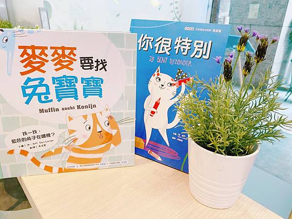 【荷蘭兒童繪本】找找書推薦《麥麥要找兔寶寶》｜品德書推薦《你很特別》｜采實文化